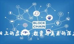 蒸蒸日上的虚拟币：投资