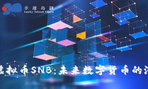 深入了解虚拟币SNB：未来数字货币的潜力与风险