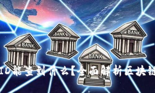 虚拟币交易ID能查到什么？全面解析区块链数据透明性