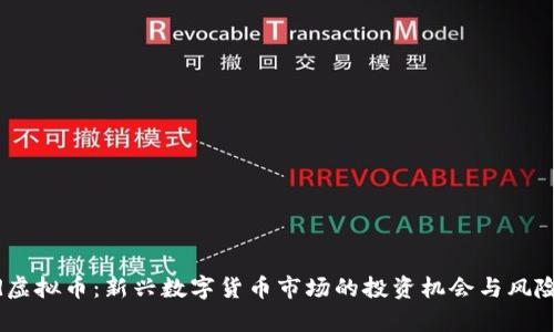 Brad虚拟币：新兴数字货币市场的投资机会与风险分析