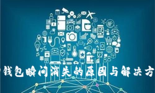TP钱包瞬间消失的原因与解决方案