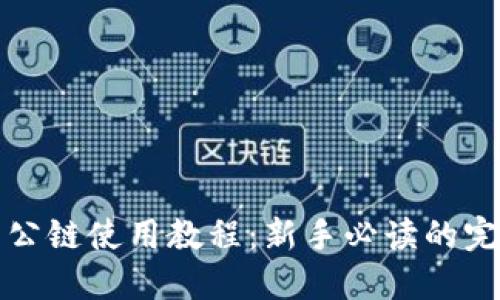 TP钱包公链使用教程：新手必读的完整指南