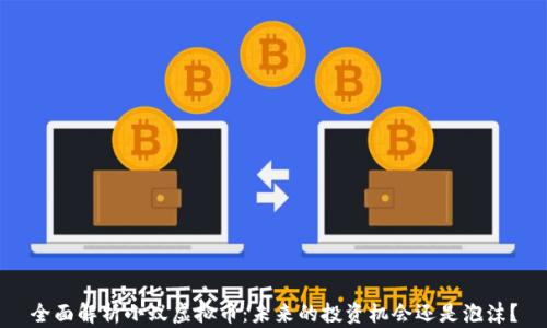 
全面解析小蚁虚拟币：未来的投资机会还是泡沫？