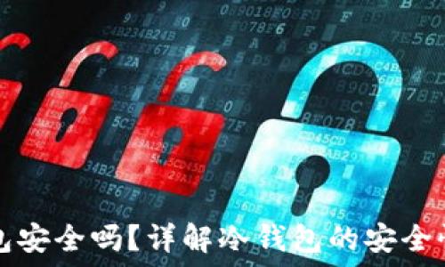   
TP上的冷钱包安全吗？详解冷钱包的安全性与使用技巧