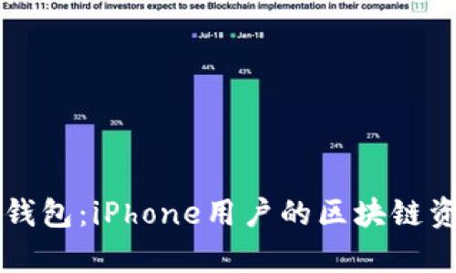 全面解析TP钱包：iPhone用户的区块链资产管理利器