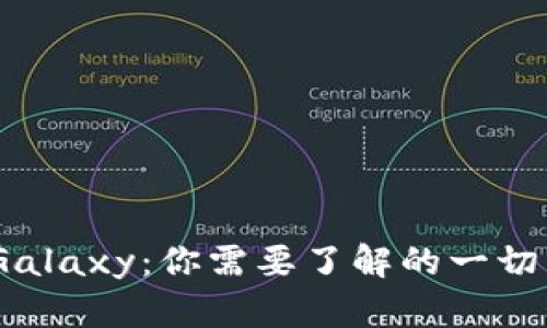 深入解析SafeGalaxy：你需要了解的一切关于这款虚拟币